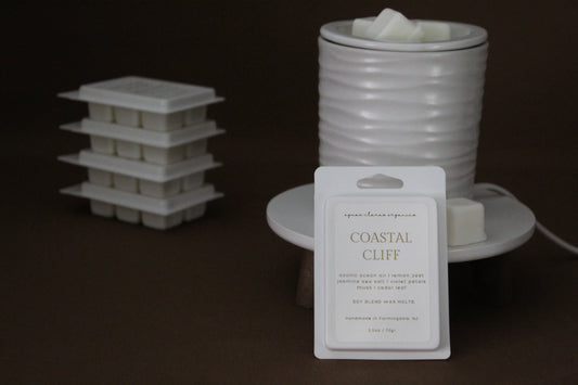 Coastal Cliff Wax Melts