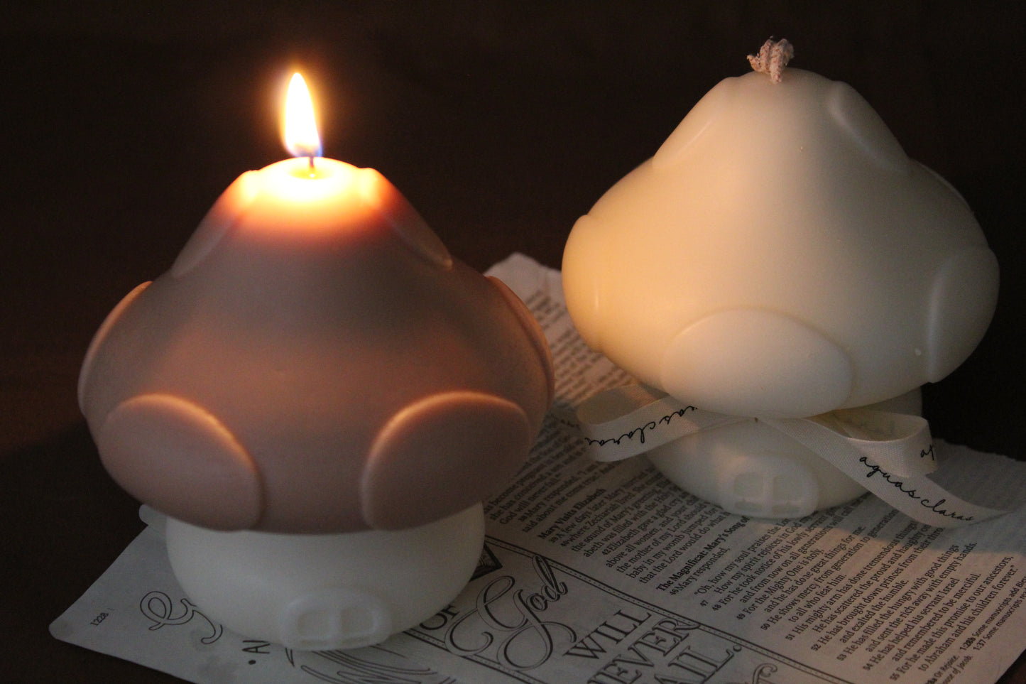 Mushroom House Candle