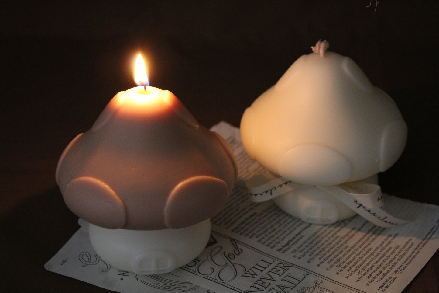 Mushroom House Candle